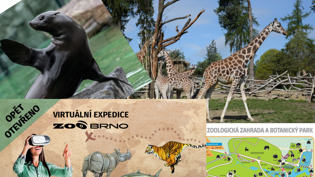 nejlepší zoo čr
